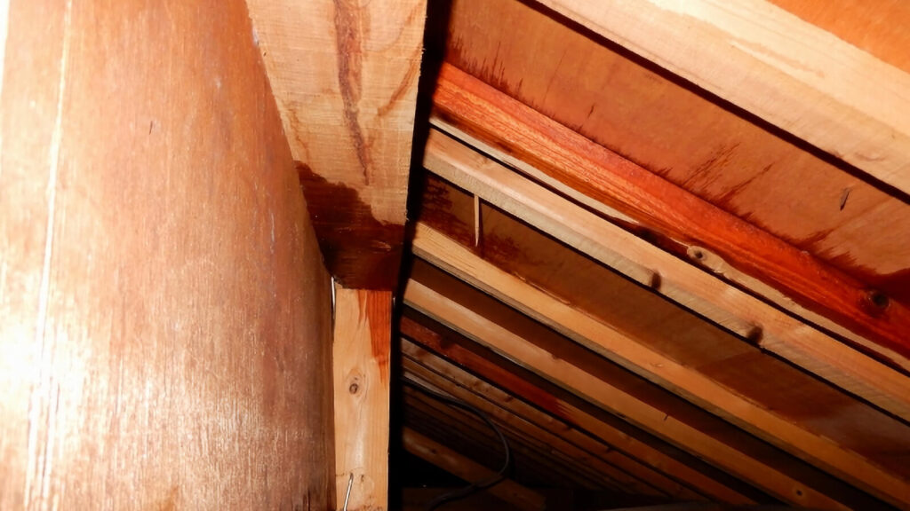 雨漏りが発生している屋根